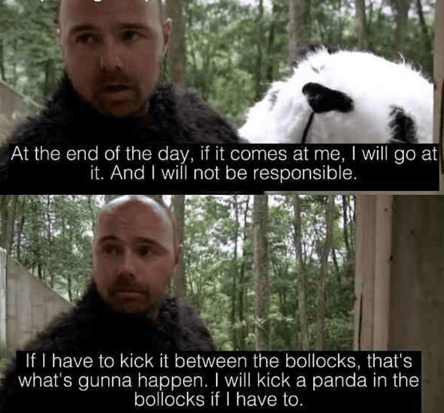 quote from karl pilkington about kicking a panda in the nuts